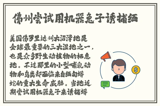 苍井空可爱的小公主